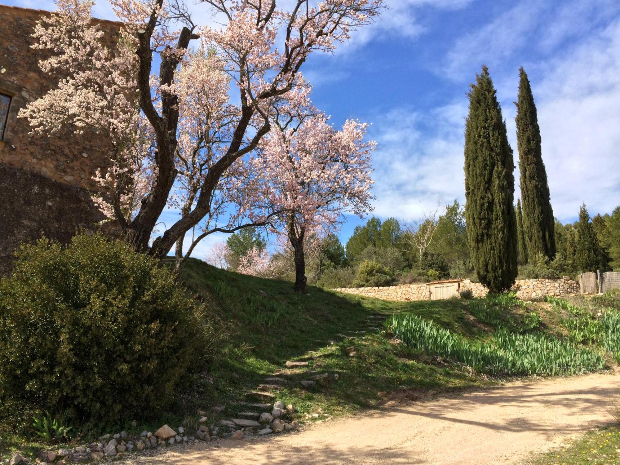 Maison A Aix En Provence Au Pied De La Sainte Victoire Beaurecueil Eksteriør billede